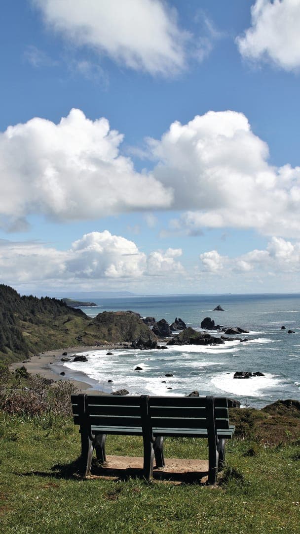 A scenic view of the ocean and rocky coastline from behind a green park bench. Fluffy clouds in a bright blue sky.