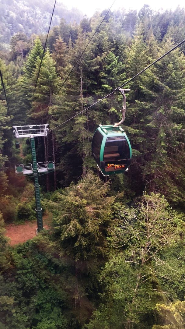 A green gondola labeled "Sky Trail" glides over a dense forest, with tall trees and a chairlift visible in the background.