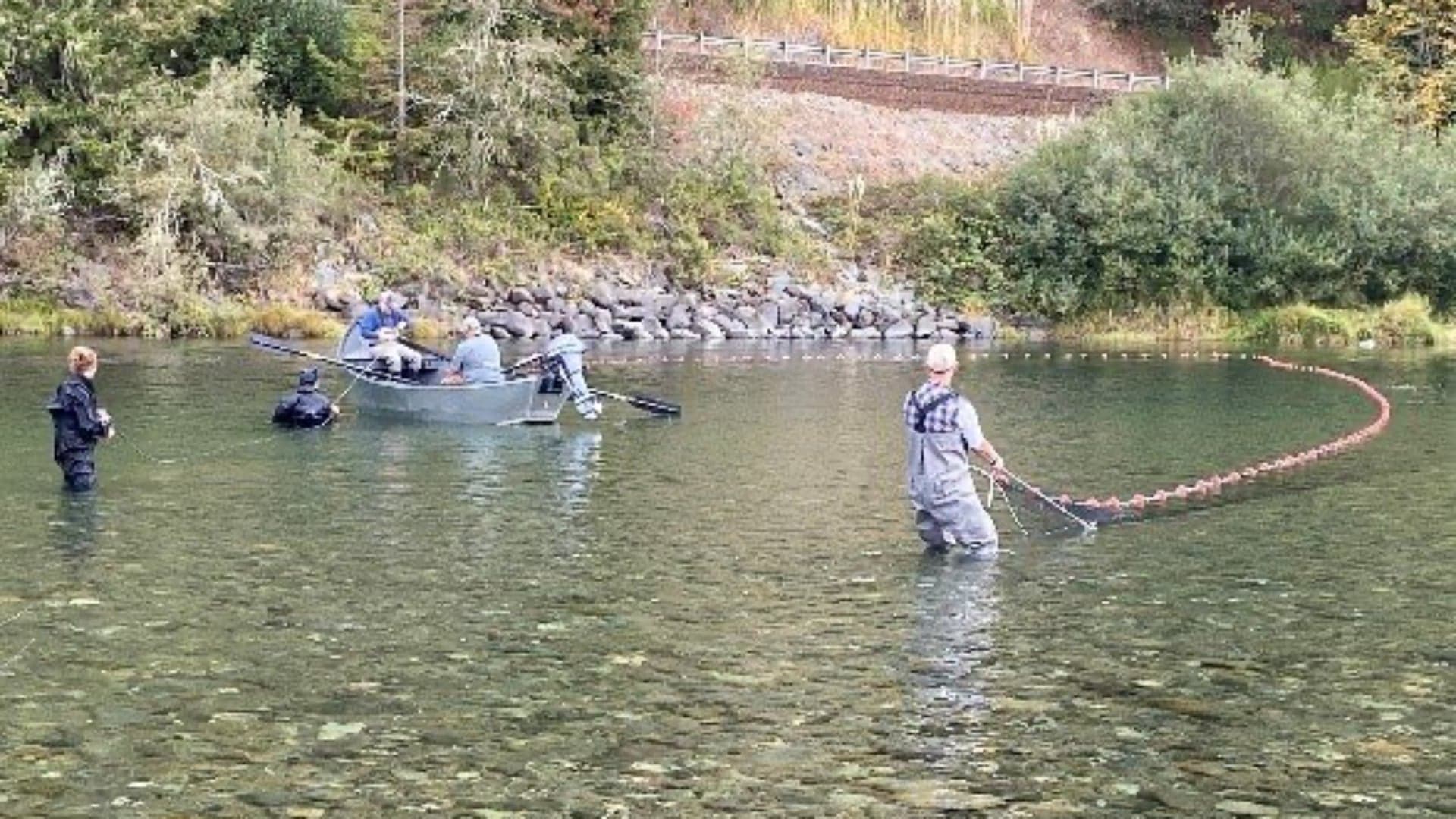 People fishing from a boat and wading in a clear river, with one person using a net to collect fish.