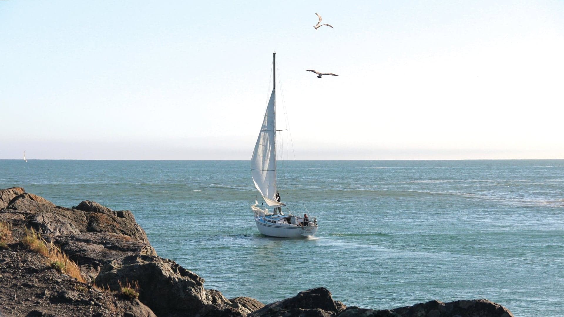 A sailboat glides across blue waters, with seagulls flying overhead and rocky shore visible in the foreground.
