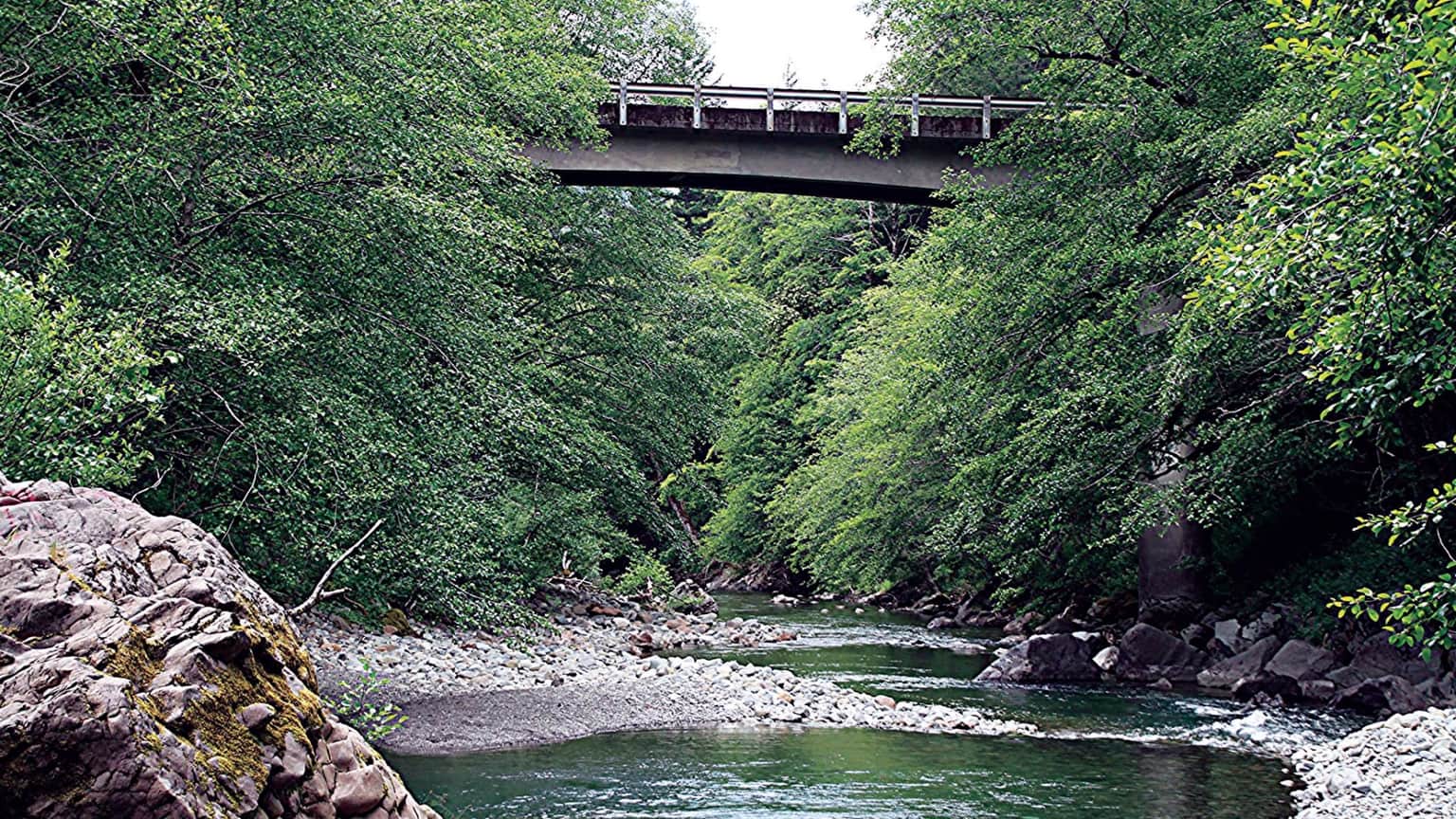 A tranquil river flows between lush greenery, with a bridge arching overhead. Smooth stones line the riverbank.