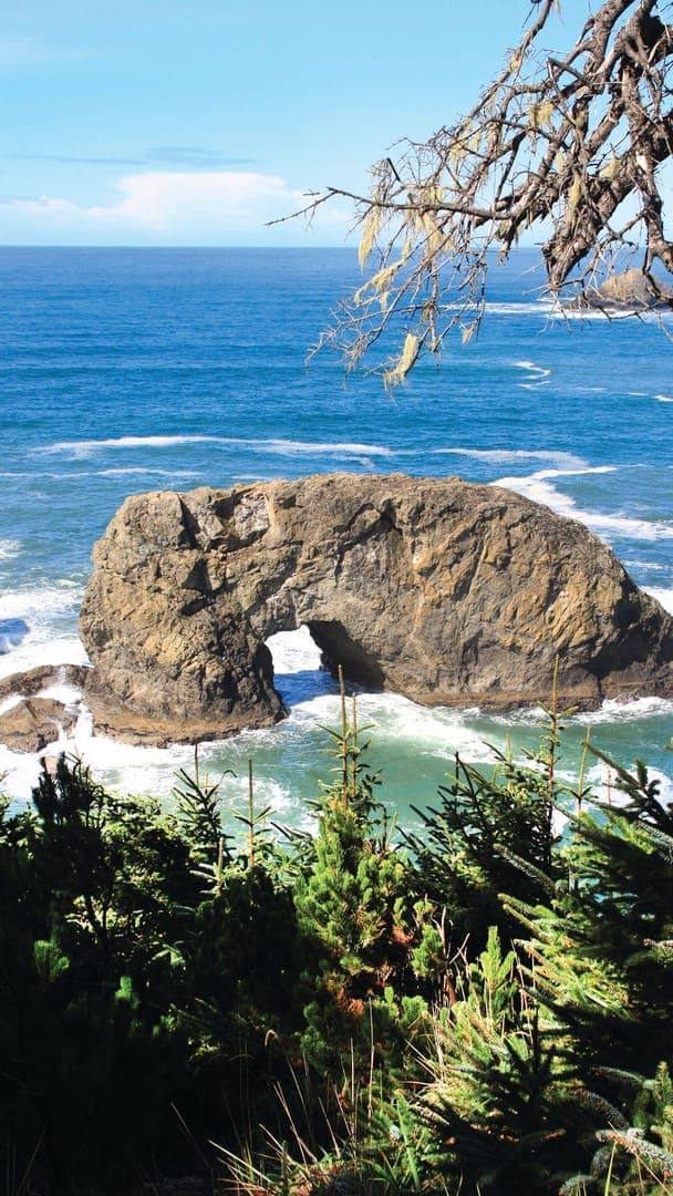 Natural rock arch surrounded by ocean waves and greenery under a clear blue sky.