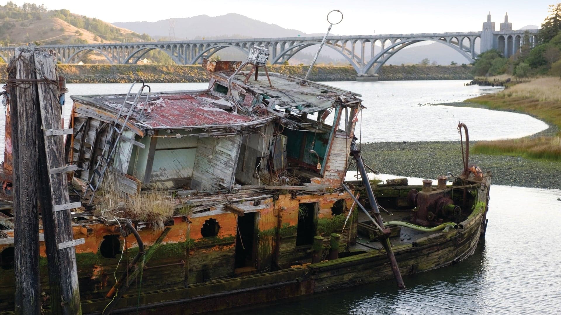 A dilapidated, rusted boat on the shore, with a bridge in the background and overgrown vegetation nearby.