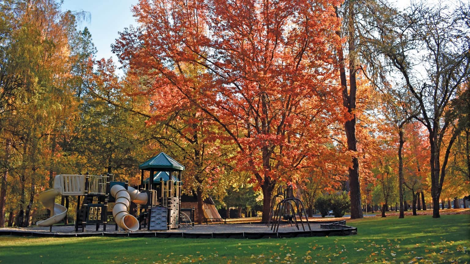 Playground surrounded by vibrant autumn trees with colorful leaves. Sunshine illuminates the scene.