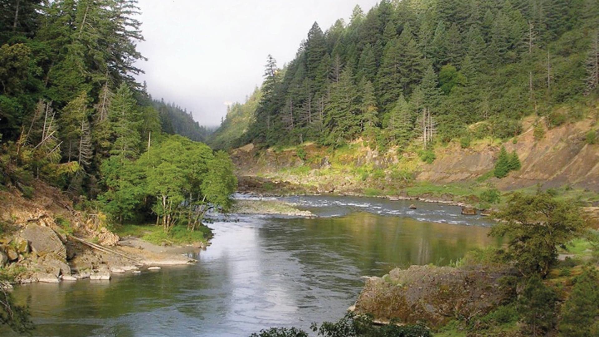 A serene river surrounded by lush green trees and steep rocky banks in a natural setting.