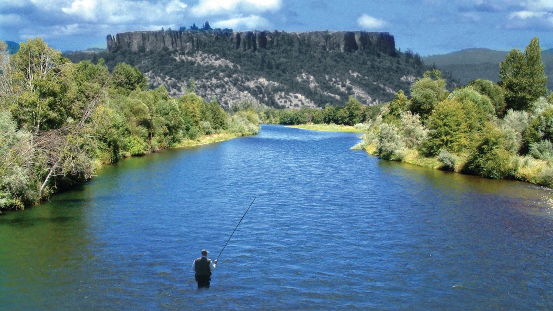 A person fishing in a river surrounded by lush trees, with a rocky cliff in the background under a blue sky.