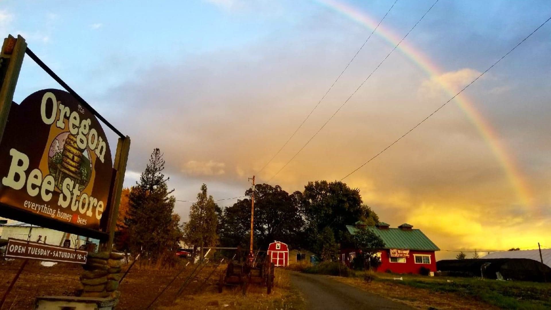 Sign for Oregon Bee Store with a rainbow in the sky and a scenic farm backdrop.