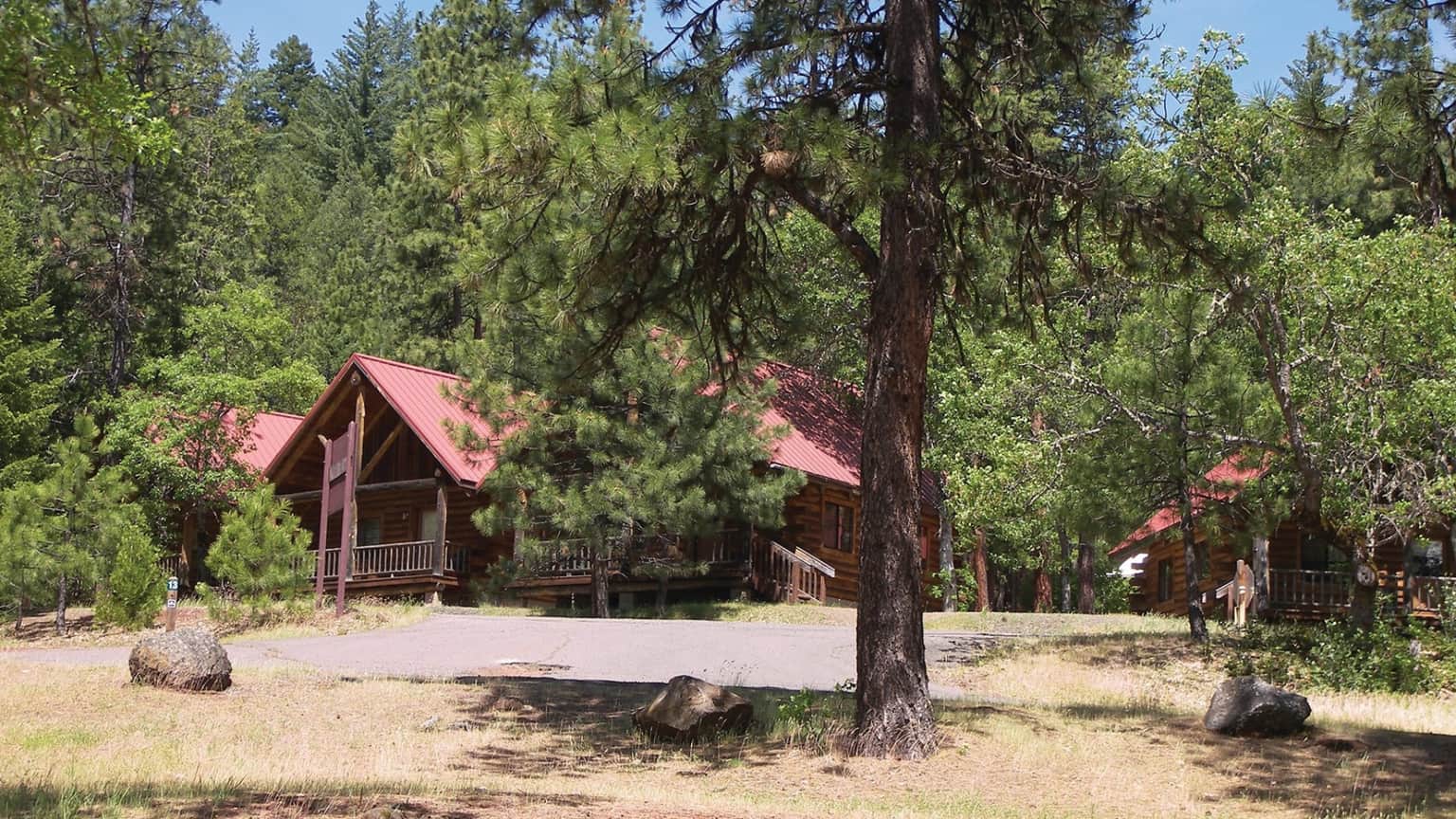 A rustic log cabin with a red roof surrounded by trees and a gravel path in a wooded area.