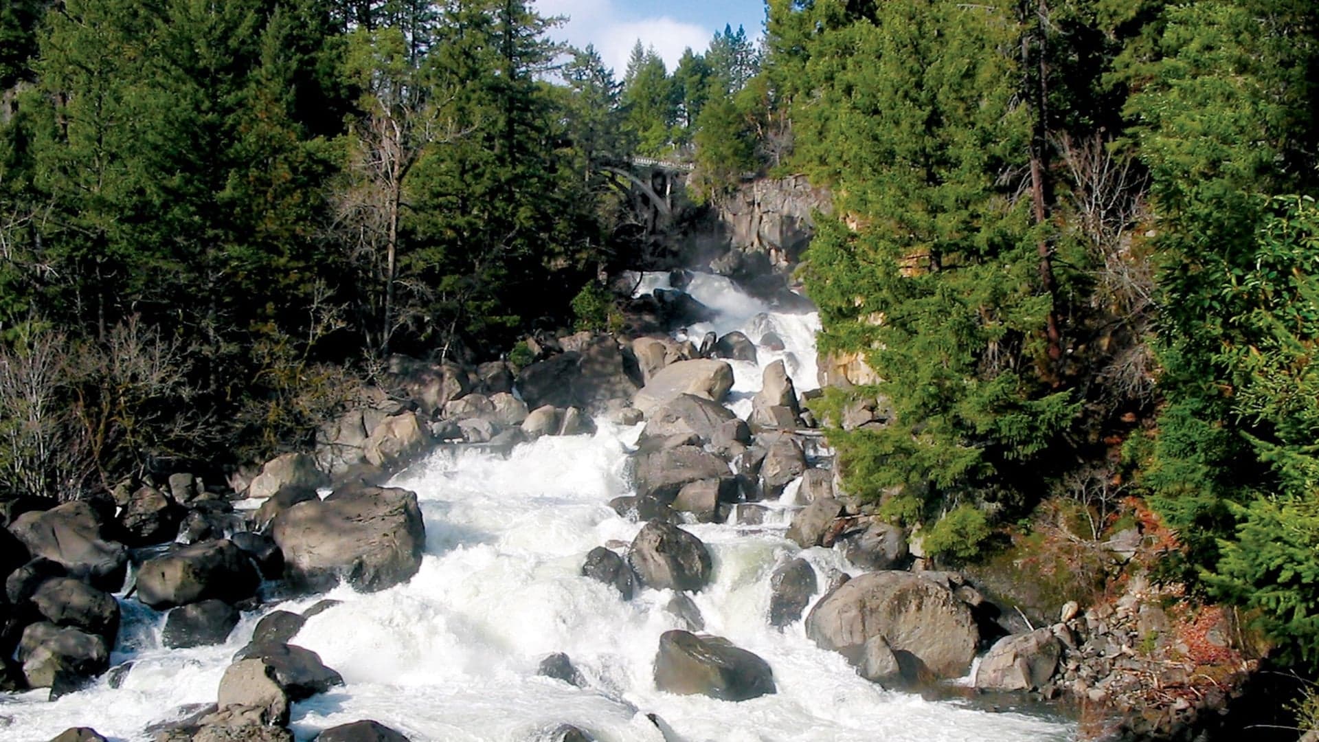 A rushing river cascades over large rocks, surrounded by dense green trees under a clear sky.