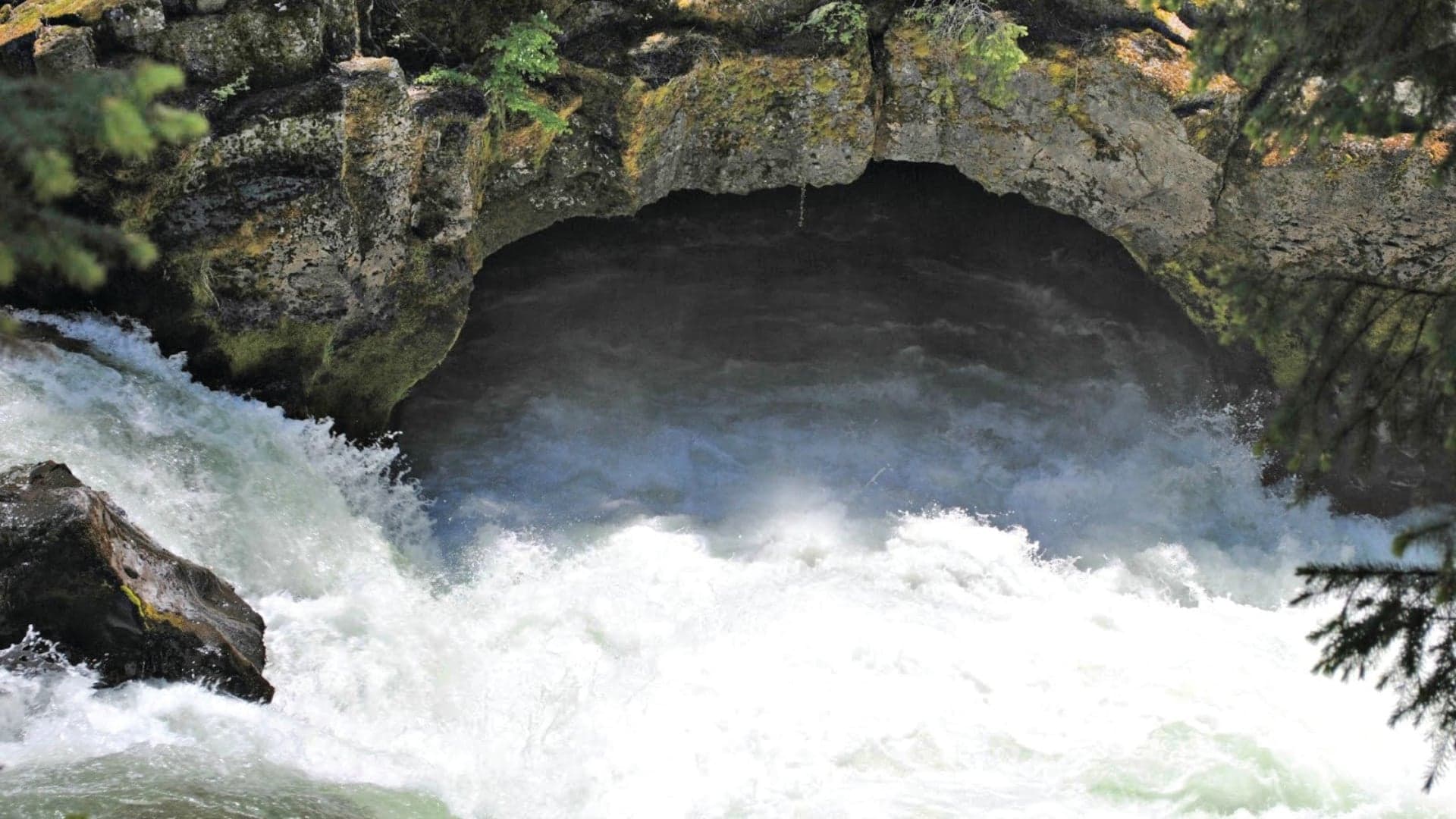Rushing water flows beneath a rocky arch in a forested area, with visible greenery and spray.