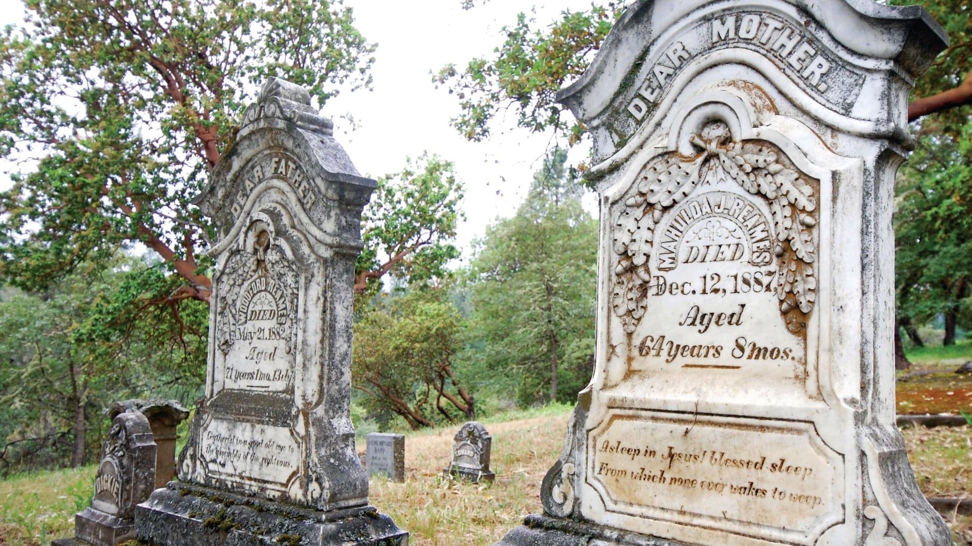 Two weathered gravestones in a cemetery, one marked "Dear Father" and the other "Dear Mother," surrounded by trees.