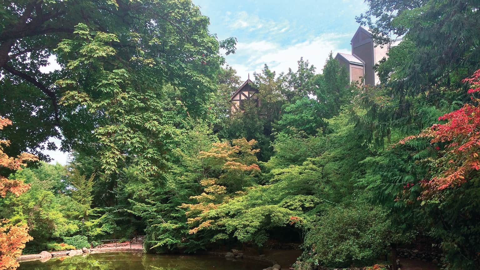 Lush green trees surround a serene pond, with a building partially visible through the foliage under a blue sky.