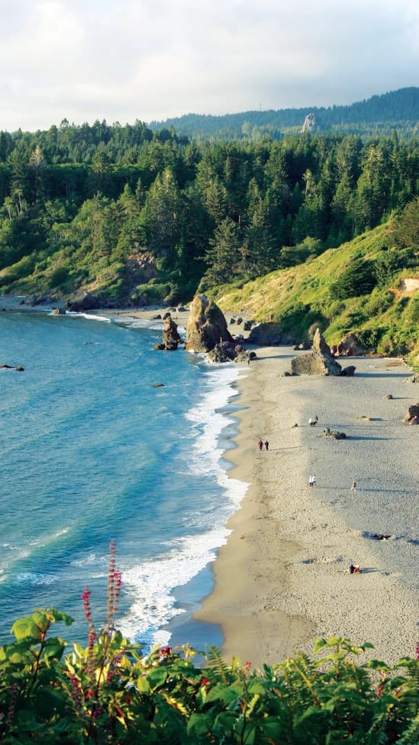 A beach scene with rocky formations, waves, and people walking along the sandy shore, surrounded by lush greenery.