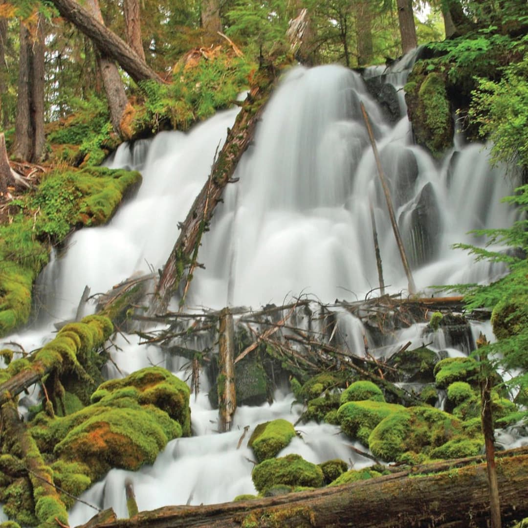A flowing waterfall cascades over moss-covered rocks and fallen logs in a lush forest landscape.