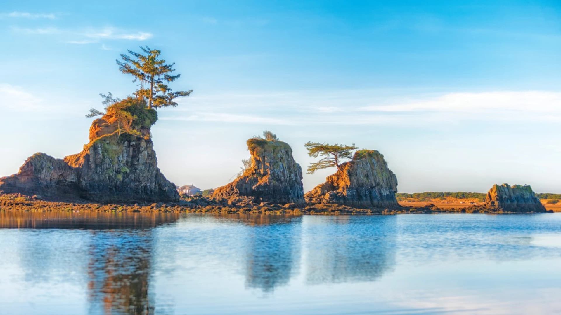 Rocky formations with trees rising from the water, reflecting in calm blue water under a clear sky.