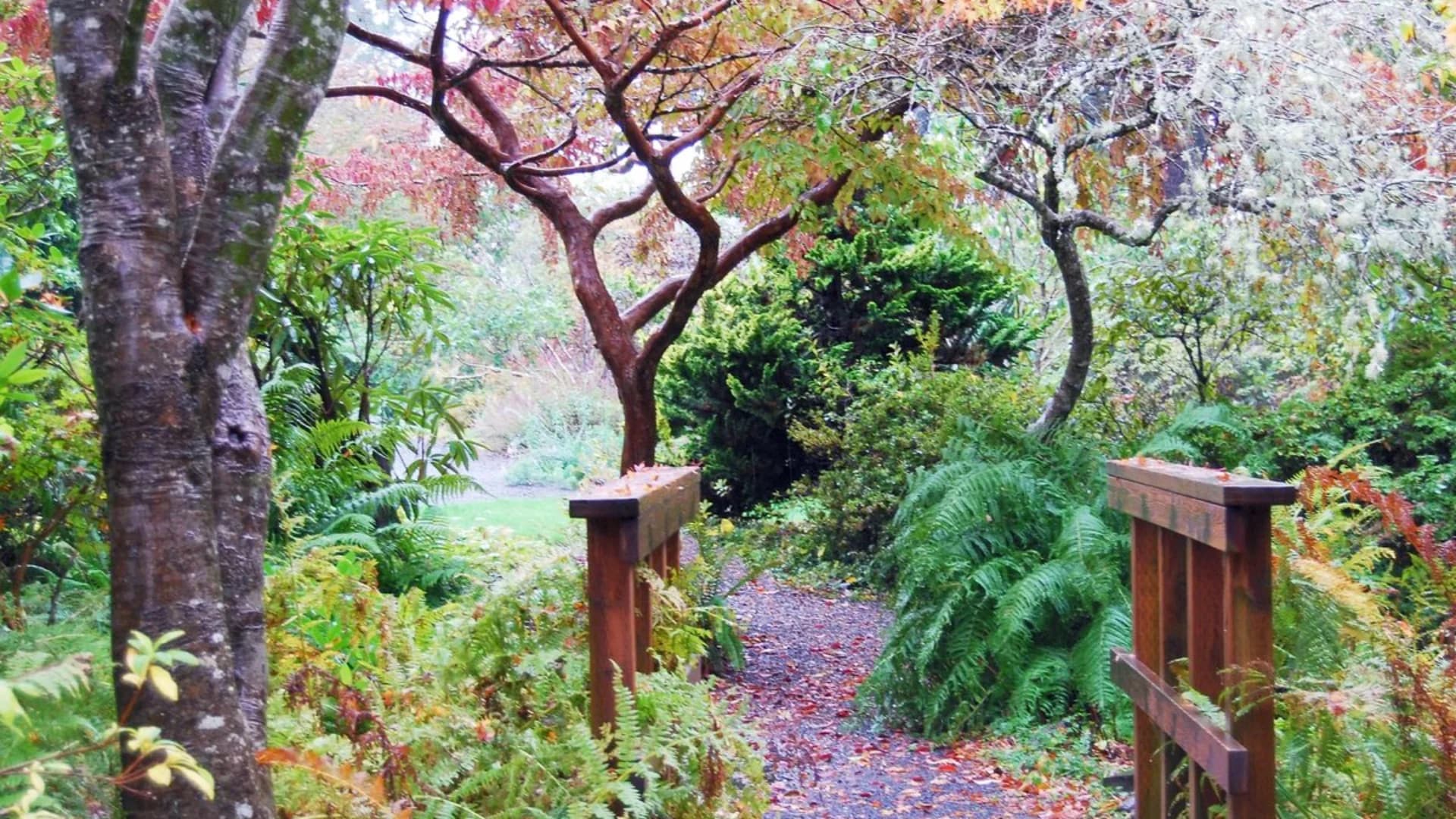 A wooden bridge leads into a colorful garden with autumn foliage and ferns lining the pathway.