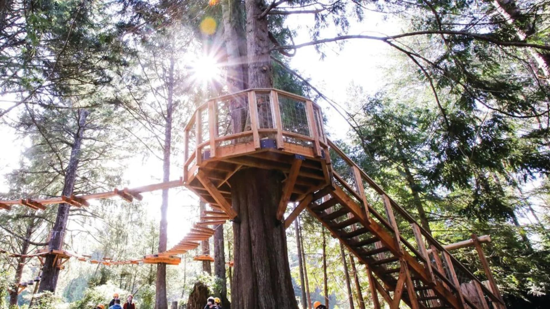 Treehouse with wooden deck and stairway, surrounded by tall trees and sunlight filtering through the branches.