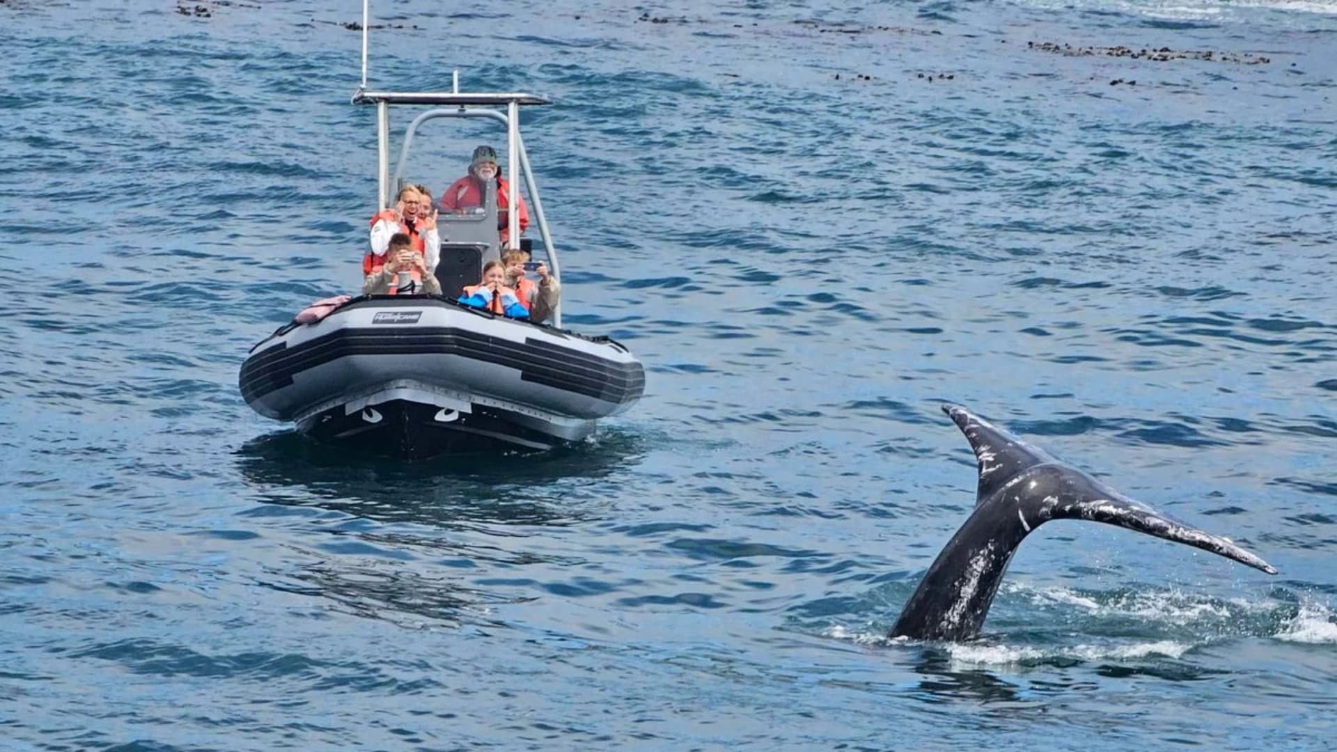A small boat with passengers observes a whale's tail above water.