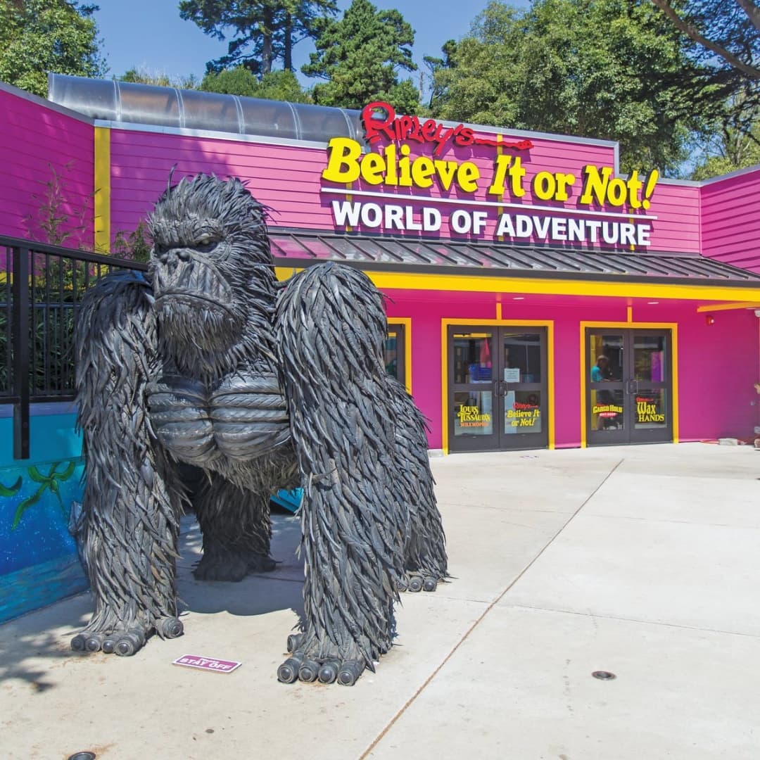 Giant black gorilla statue in front of Ripley's Believe It or Not! World of Adventure building.