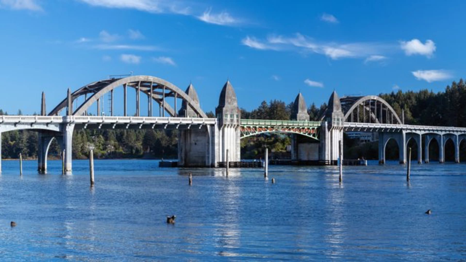 A large bridge with arches spans a river, surrounded by trees and a clear blue sky.
