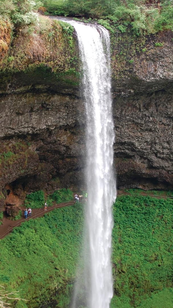 A tall waterfall cascades over rocks into a lush green area, with several people on a path below observing the scene.