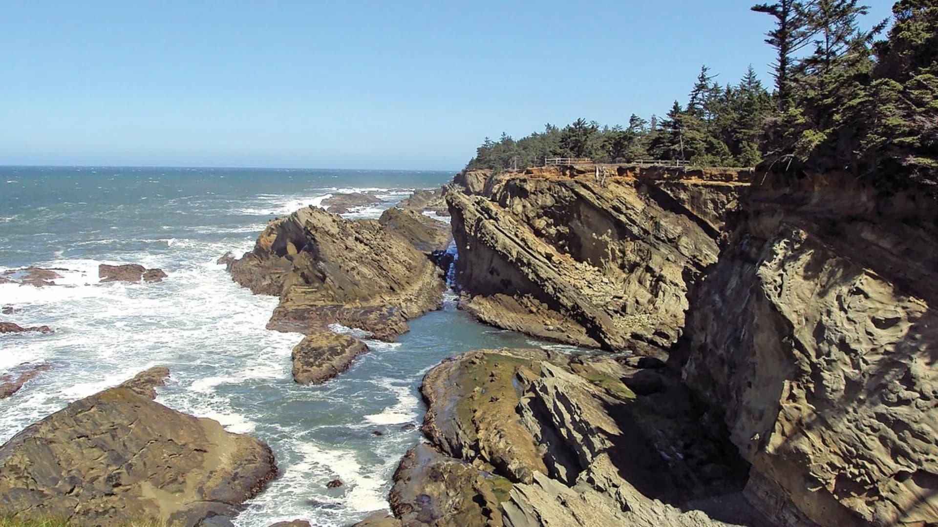 Rocky coastline with waves crashing against cliffs and a clear blue sky above. Pine trees line the top of the cliffs.
