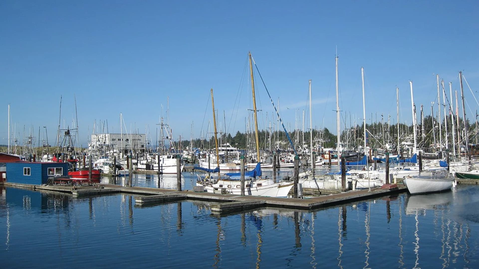 A marina filled with various boats and yachts, reflecting in calm water under a clear blue sky.