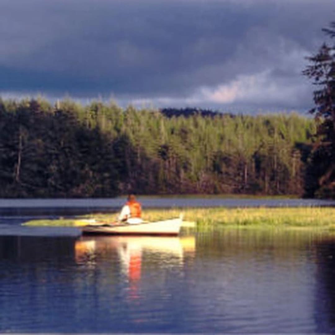 A person in a small boat paddles on a calm lake surrounded by lush green trees under a cloudy sky.