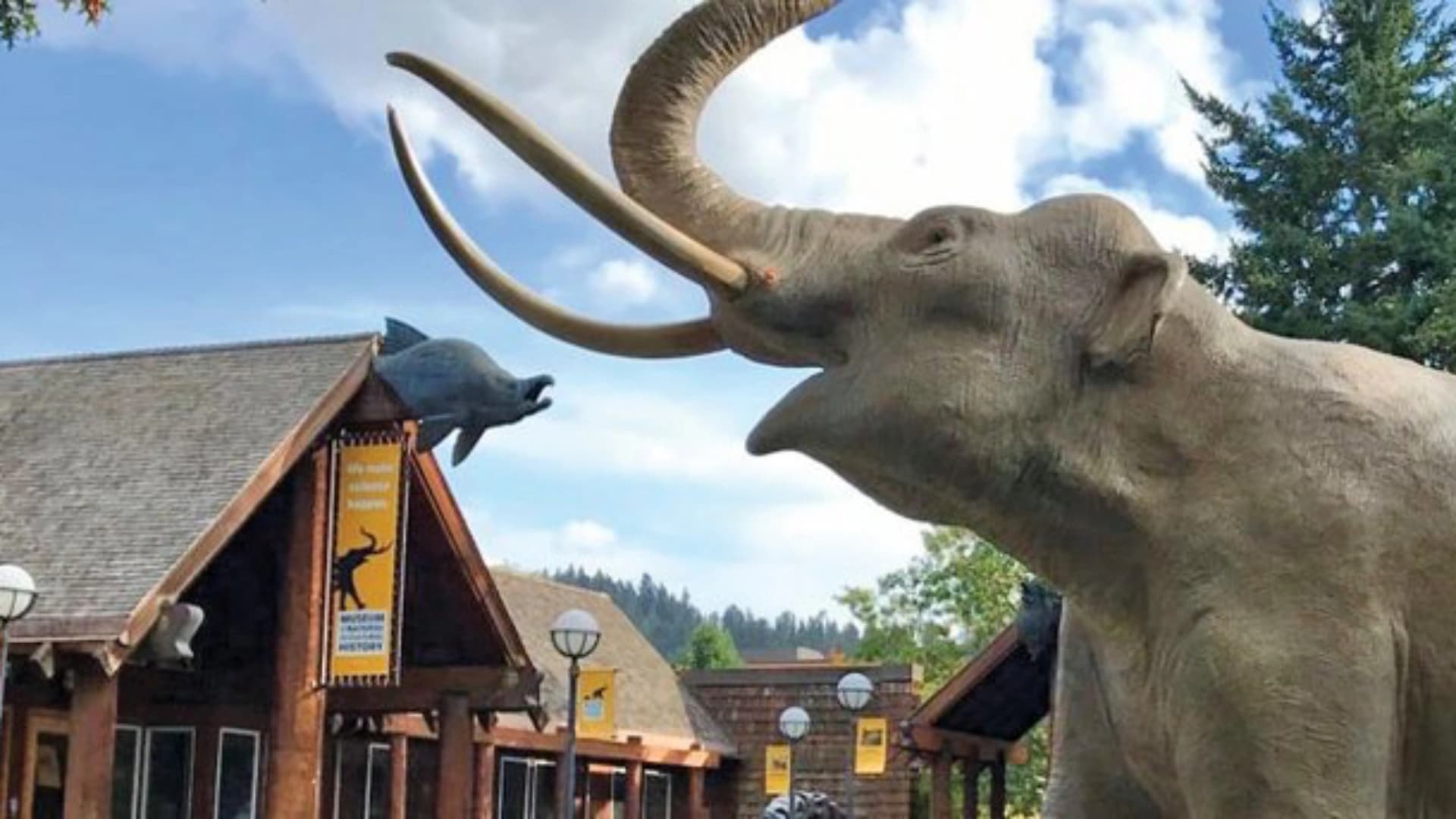 A large elephant statue stands near a wooden building, with a smaller fish sculpture above the entrance.