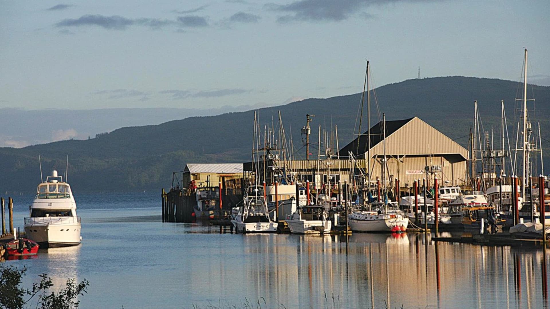 A marina with various boats docked, reflecting on calm water, set against a backdrop of green hills.