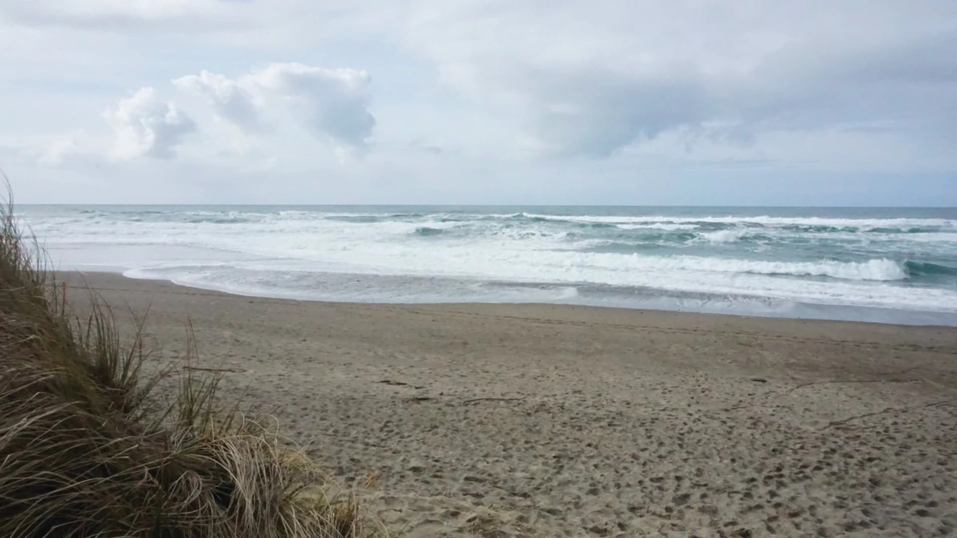 Waves crashing on a sandy beach under a cloudy sky, with grass in the foreground.