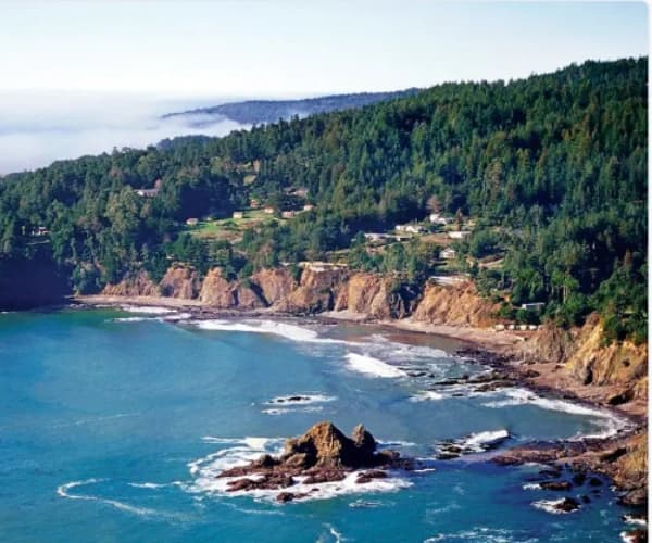 Mendocino Bay with rock outcropping along tree lined hills and a foggy background