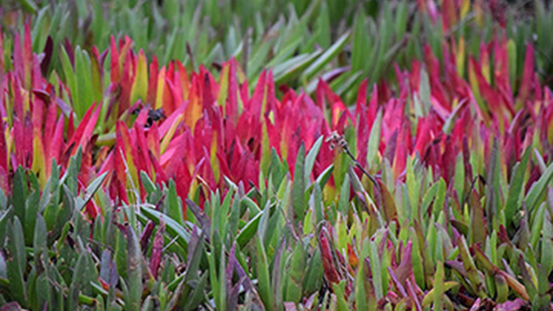 Welcome to Humboldt County