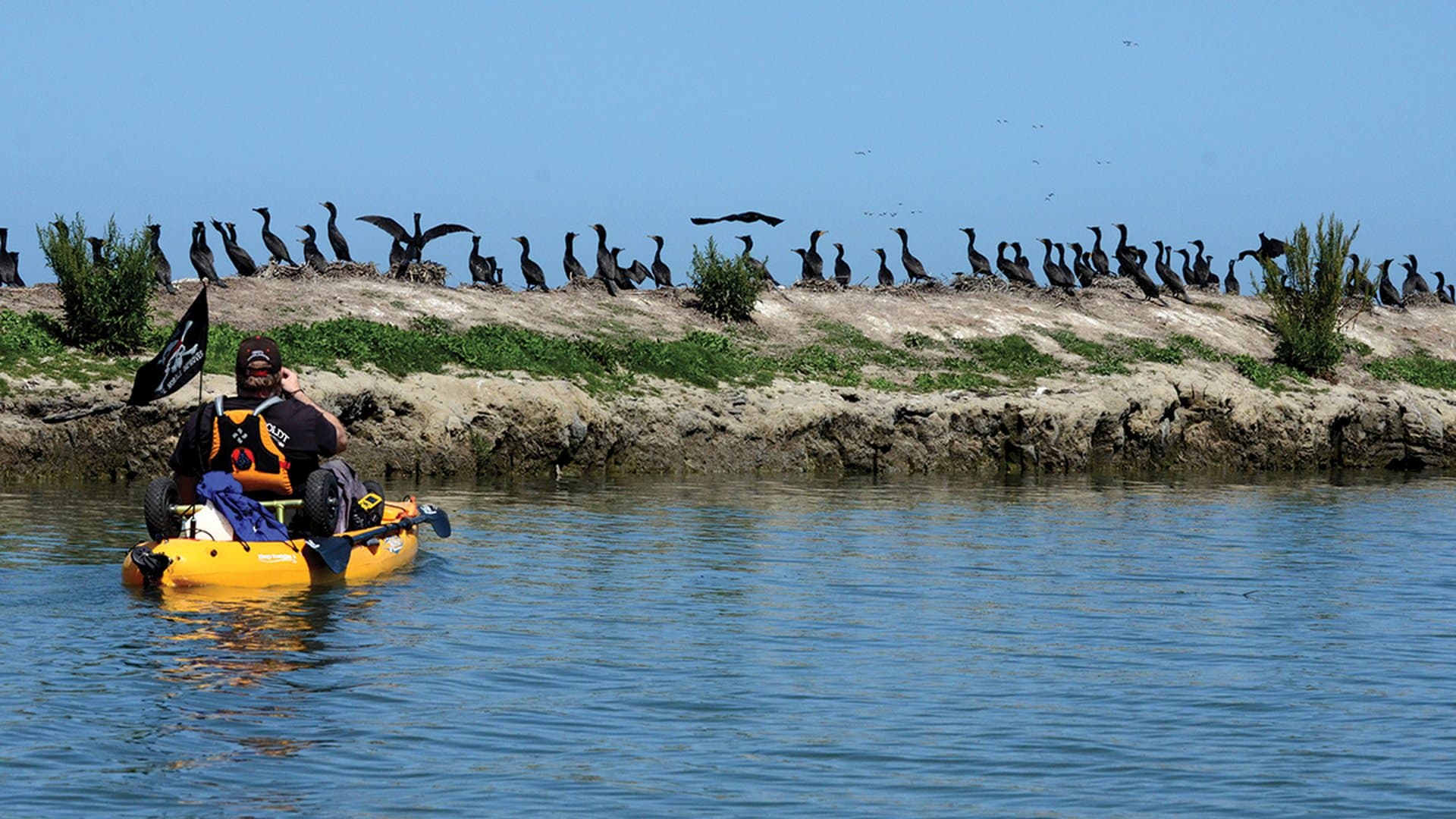 Humboldt Bay National Wildlife Refuge