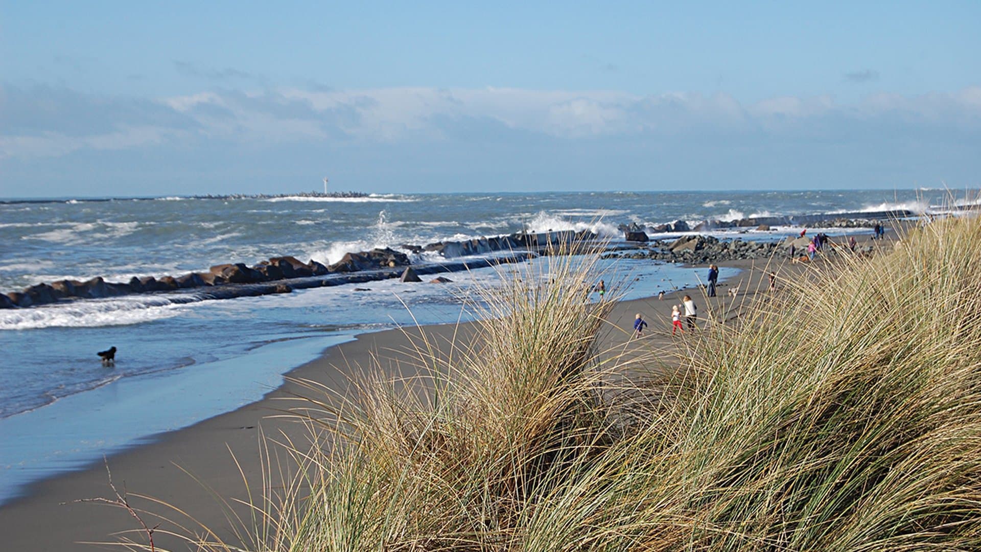 Samoa Dunes Recreation Area