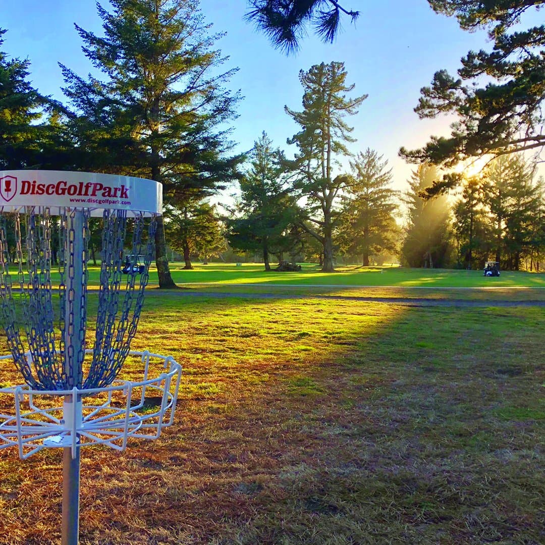 Disc Golf