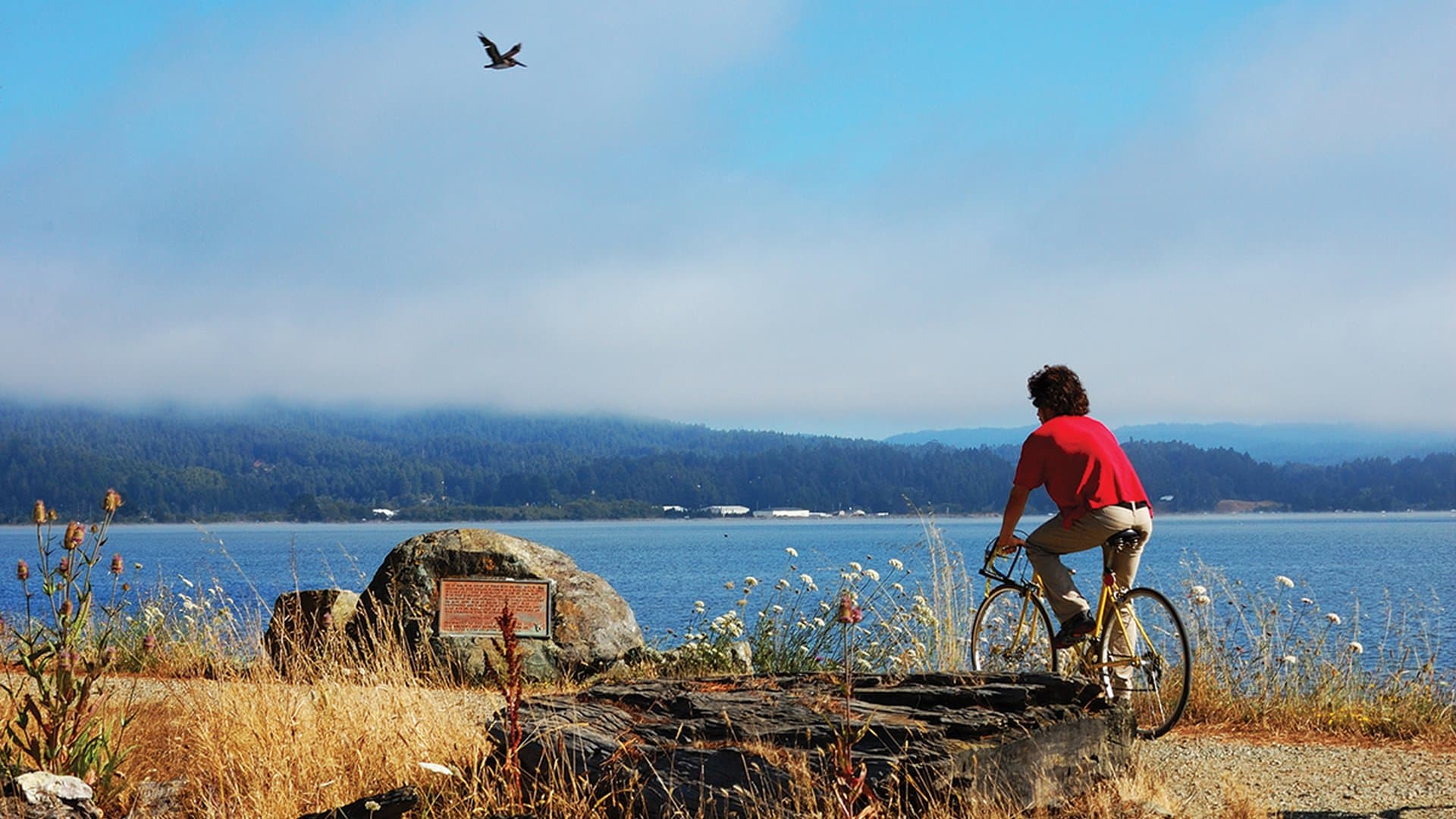 The Arcata Marsh & Wildlife Sanctuary
