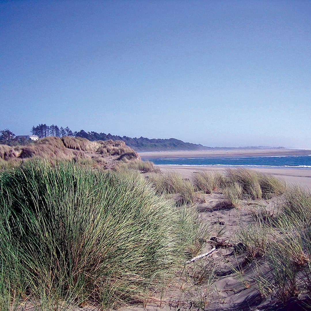 Mad River County Park