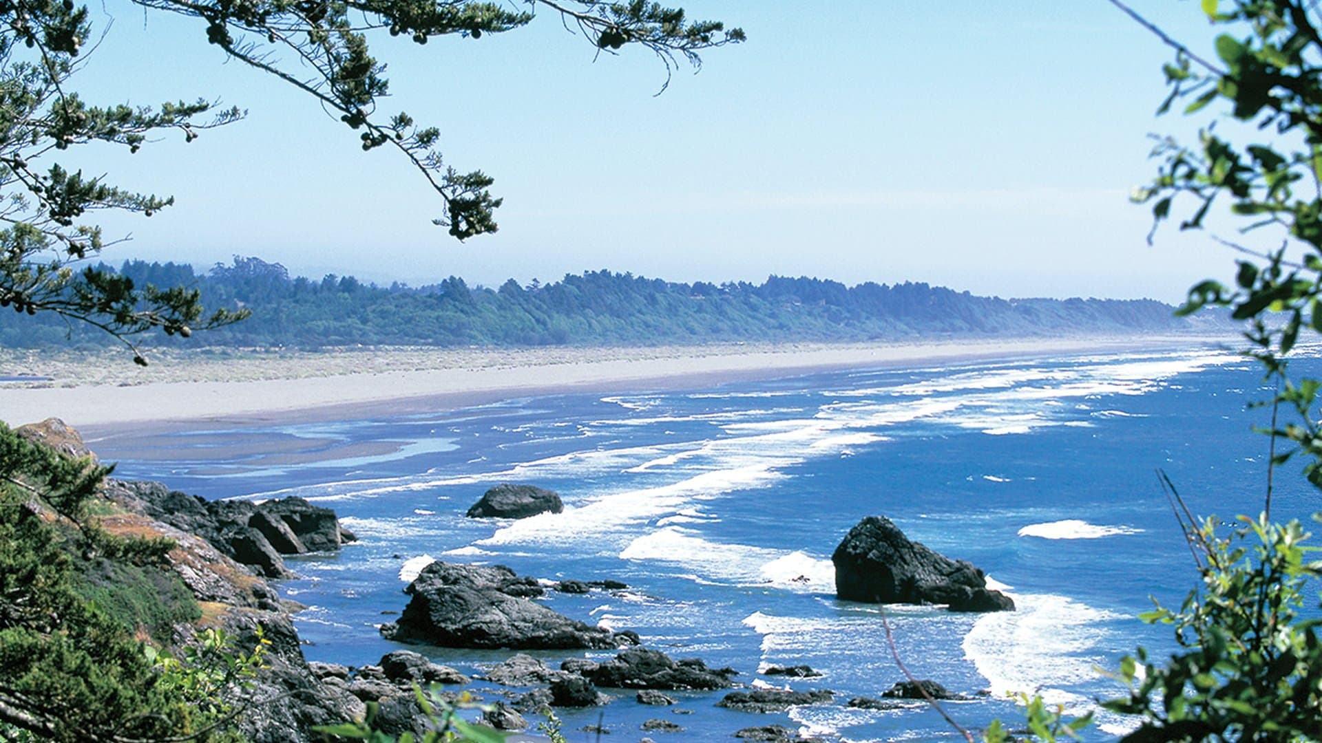 Clam Beach County Beach