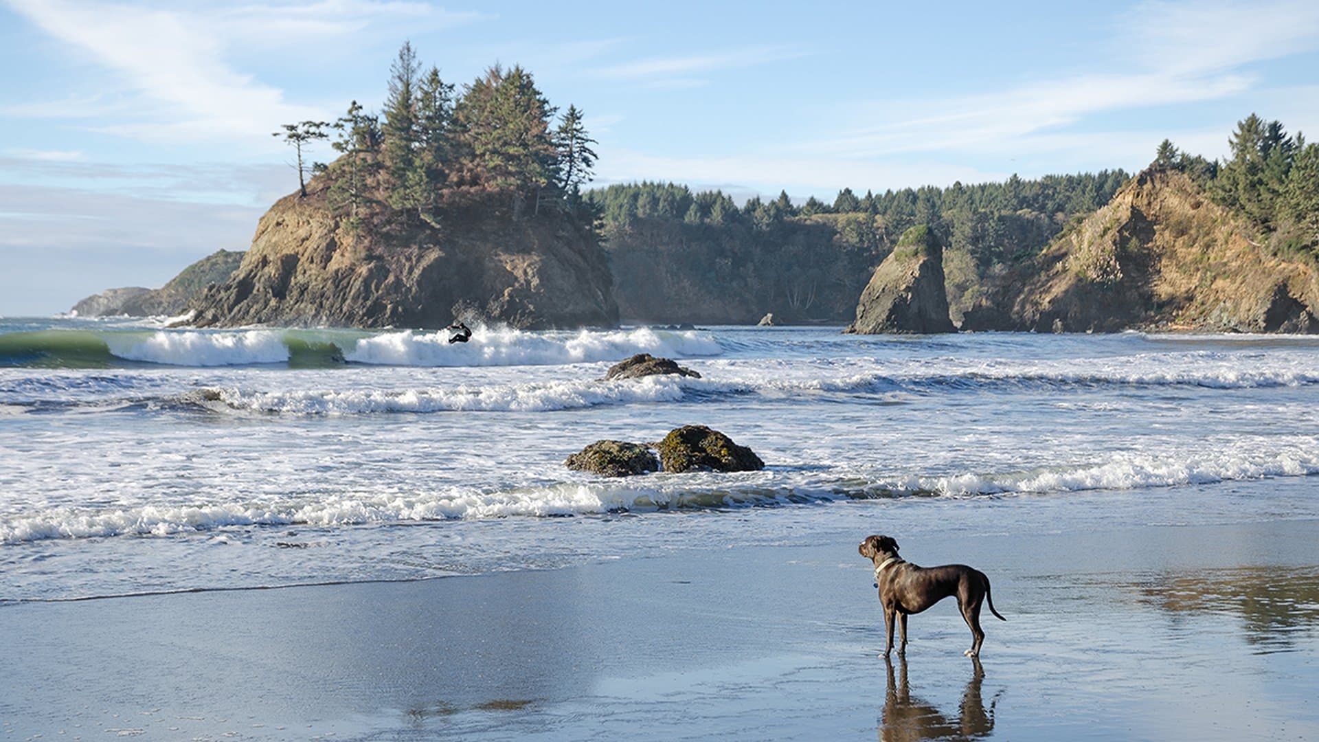 Trinidad State Beach