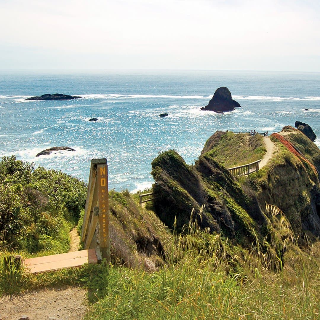Moonstone & Luffenholz Beaches