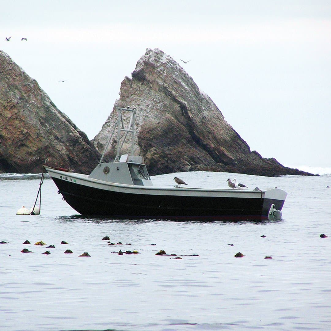 Point Arena Pier at Arena Cove