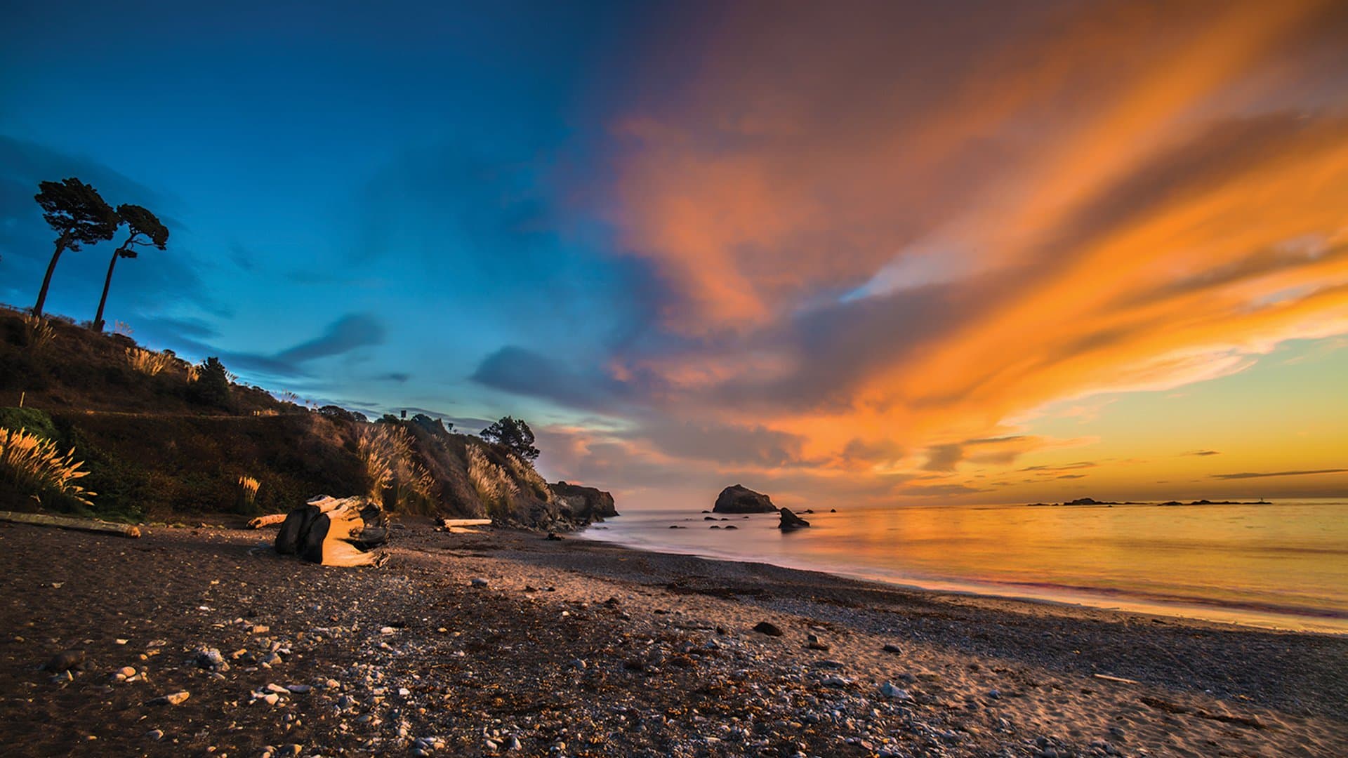 Van Damme State Park