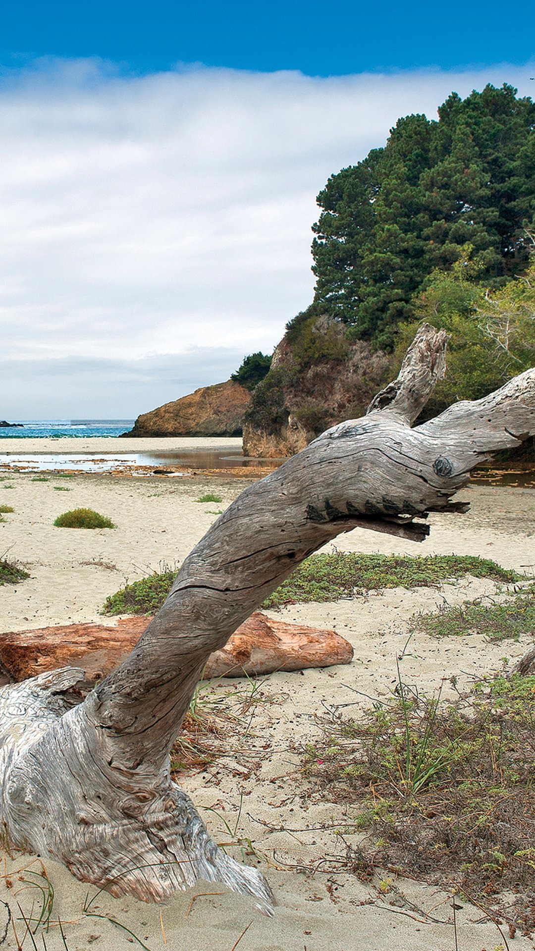 Jug Handle Ecological Staircase