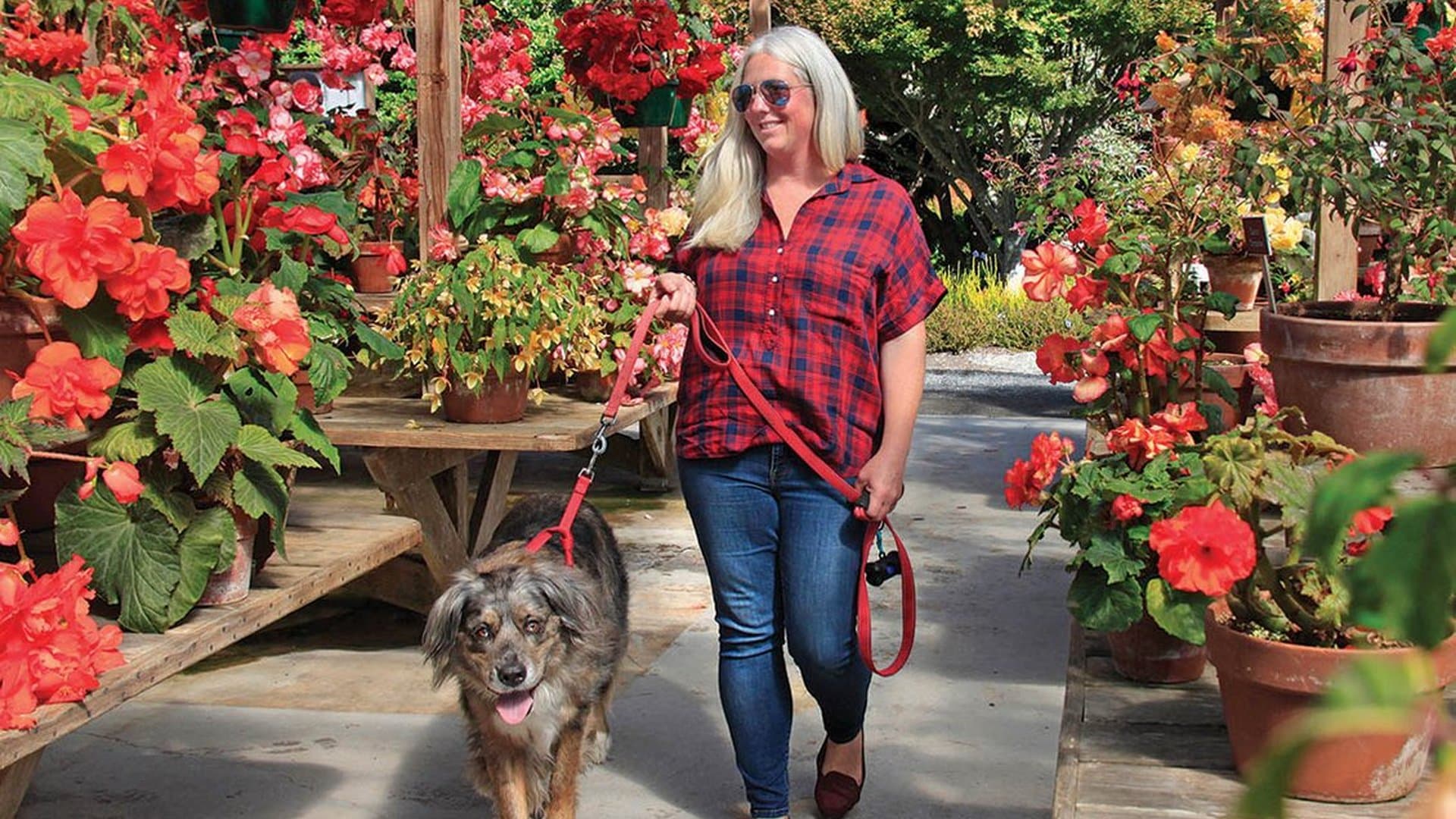 Adventure with a 4-Legged Friend