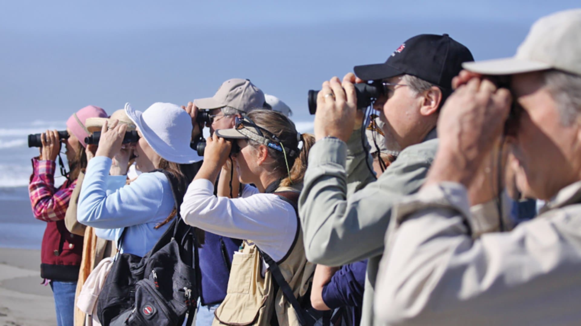 Bird-Watching with the Audubon Society