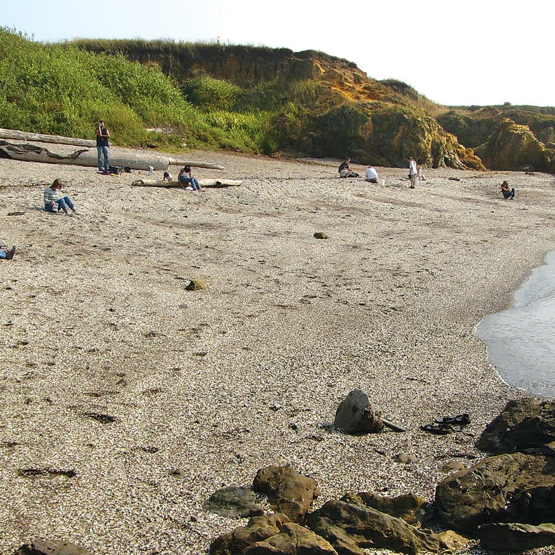 Glass Beach Treasures