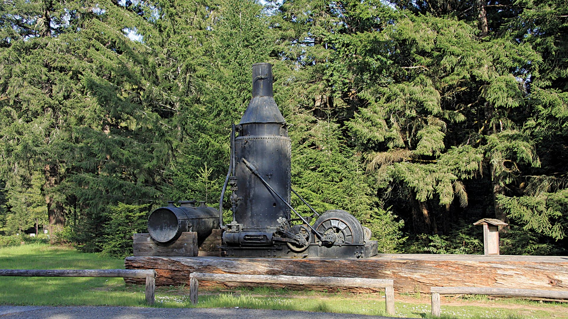 Jackson Demonstration State Forest