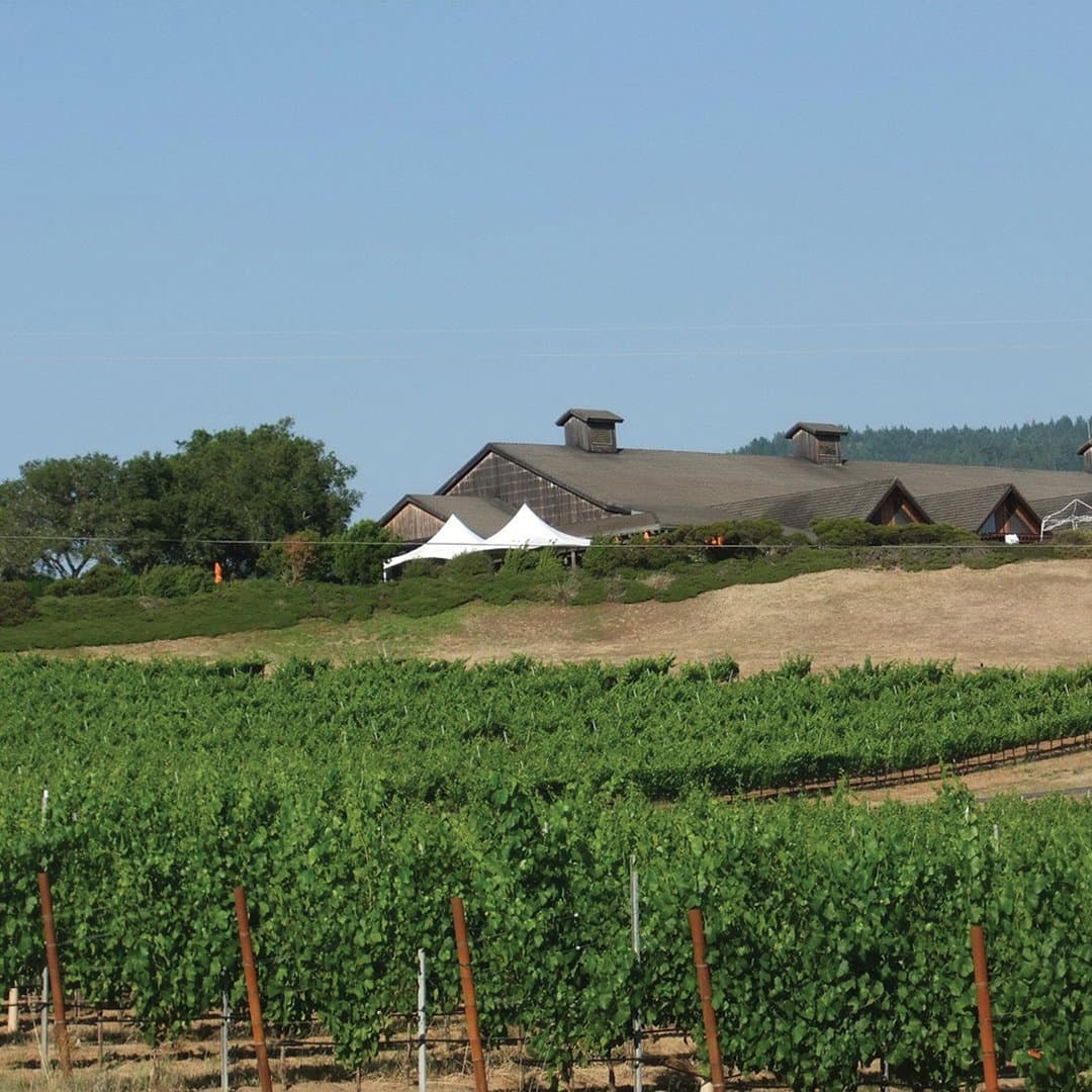 Anderson Valley Wineries