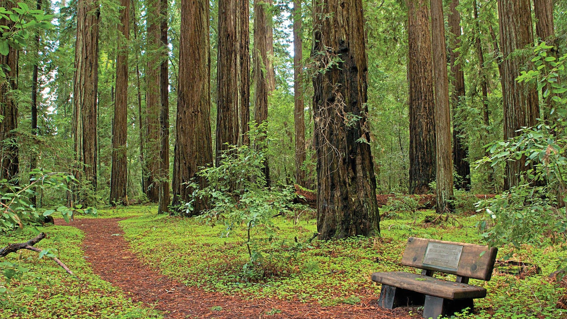 Hendy Woods State Park